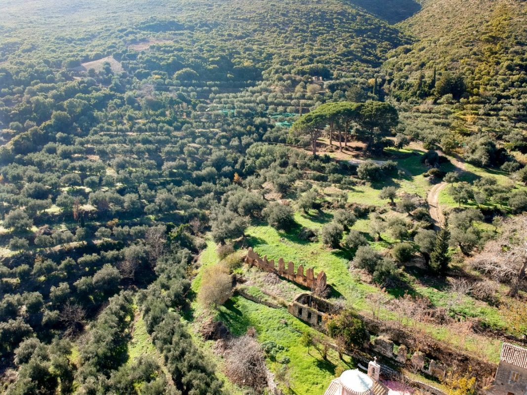Olive Lab & Shop – Παγκόσμιο Κέντρο Ελιάς για την Υγεία