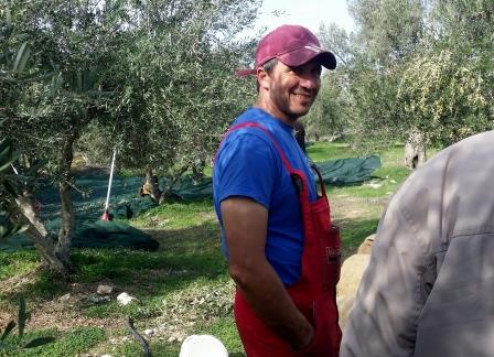 Olive Lab & Shop – Παγκόσμιο Κέντρο Ελιάς για την Υγεία