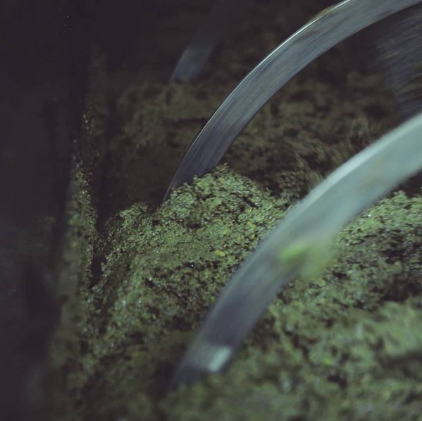 Olive Lab & Shop – Παγκόσμιο Κέντρο Ελιάς για την Υγεία