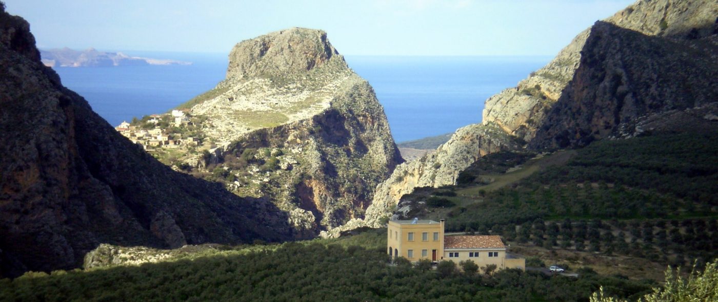 Olive Lab & Shop – Παγκόσμιο Κέντρο Ελιάς για την Υγεία