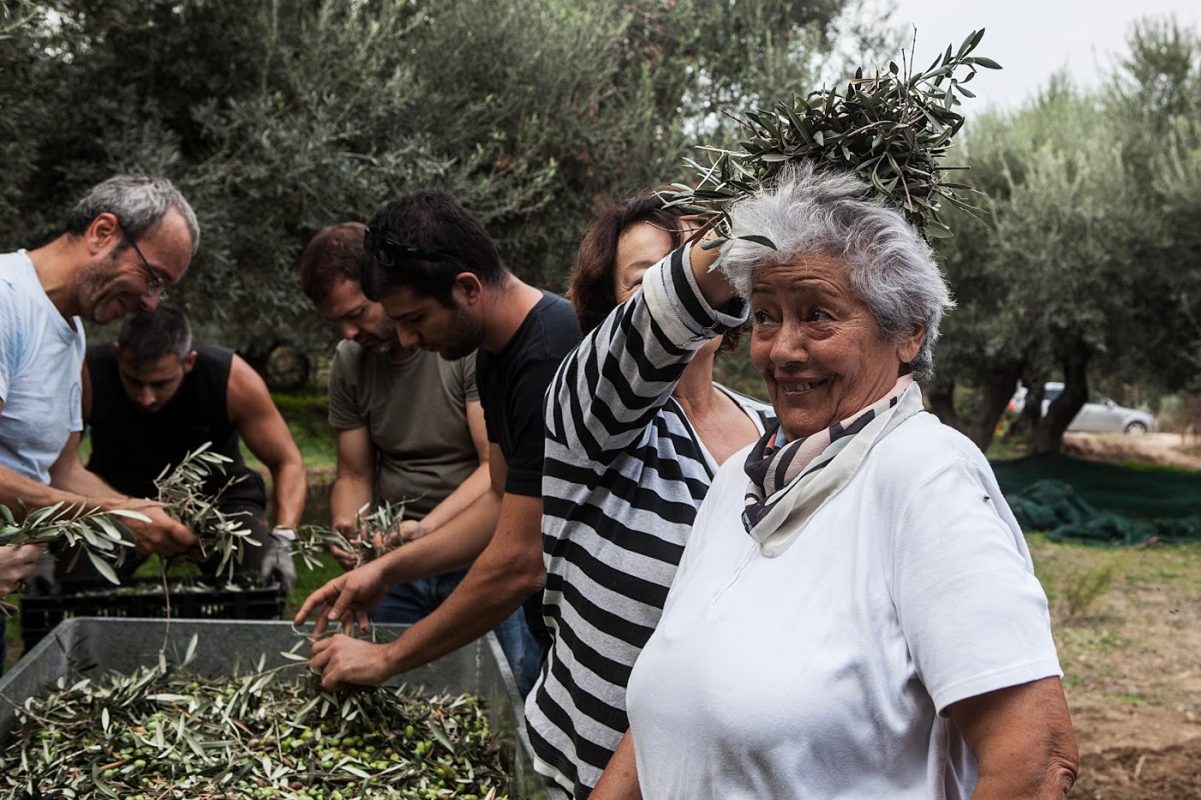 Olive Lab & Shop – Παγκόσμιο Κέντρο Ελιάς για την Υγεία