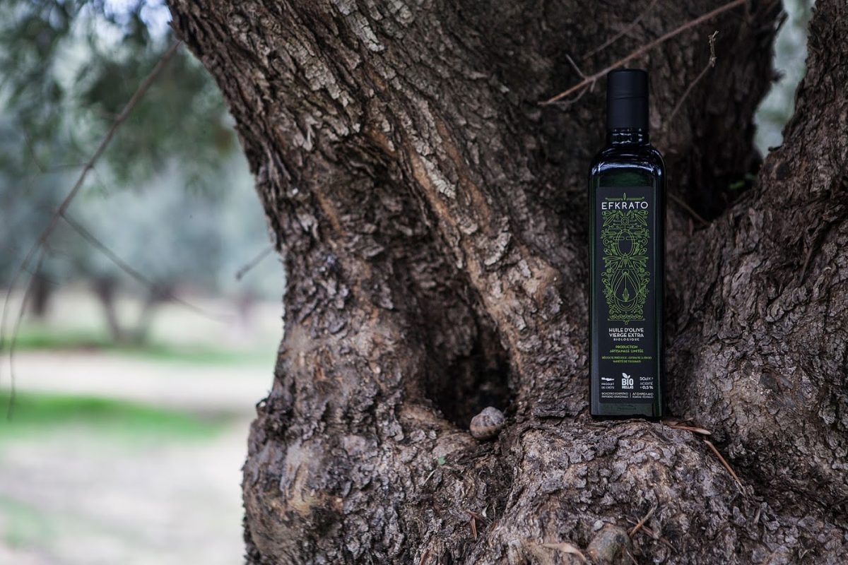 Olive Lab & Shop – Παγκόσμιο Κέντρο Ελιάς για την Υγεία