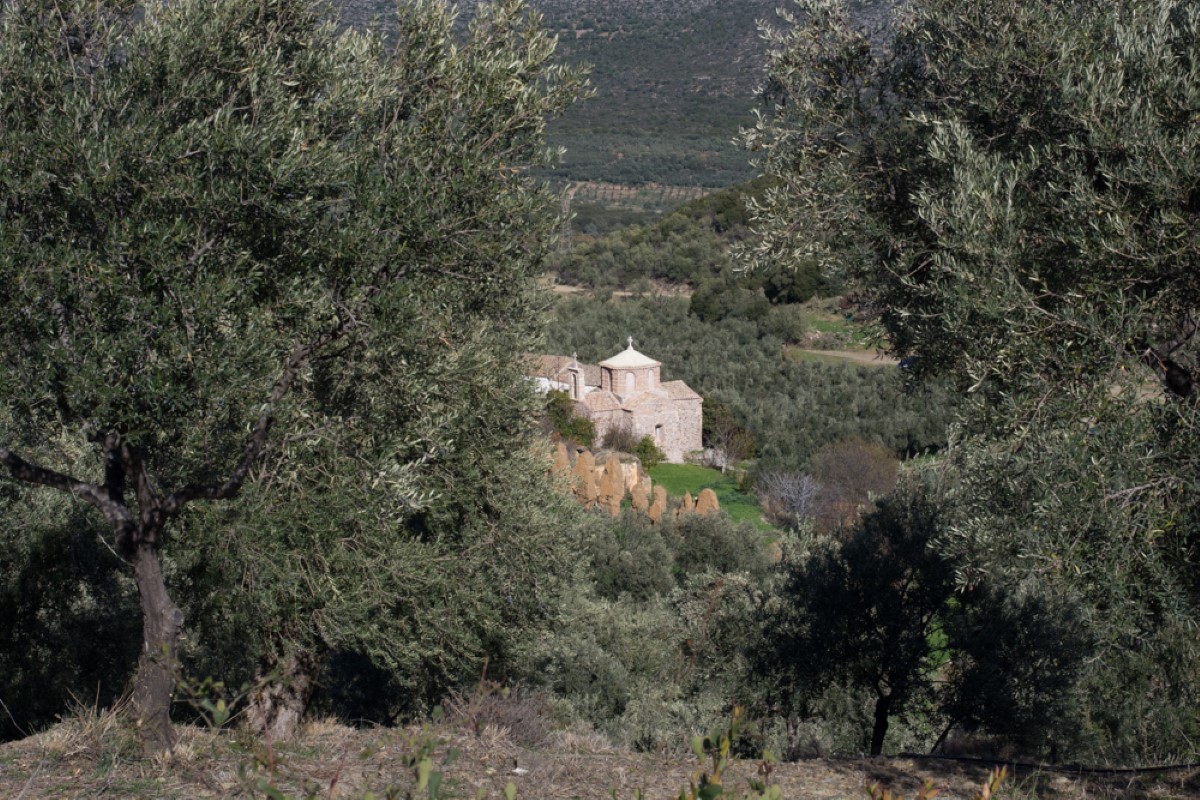 Olive Lab & Shop – Παγκόσμιο Κέντρο Ελιάς για την Υγεία