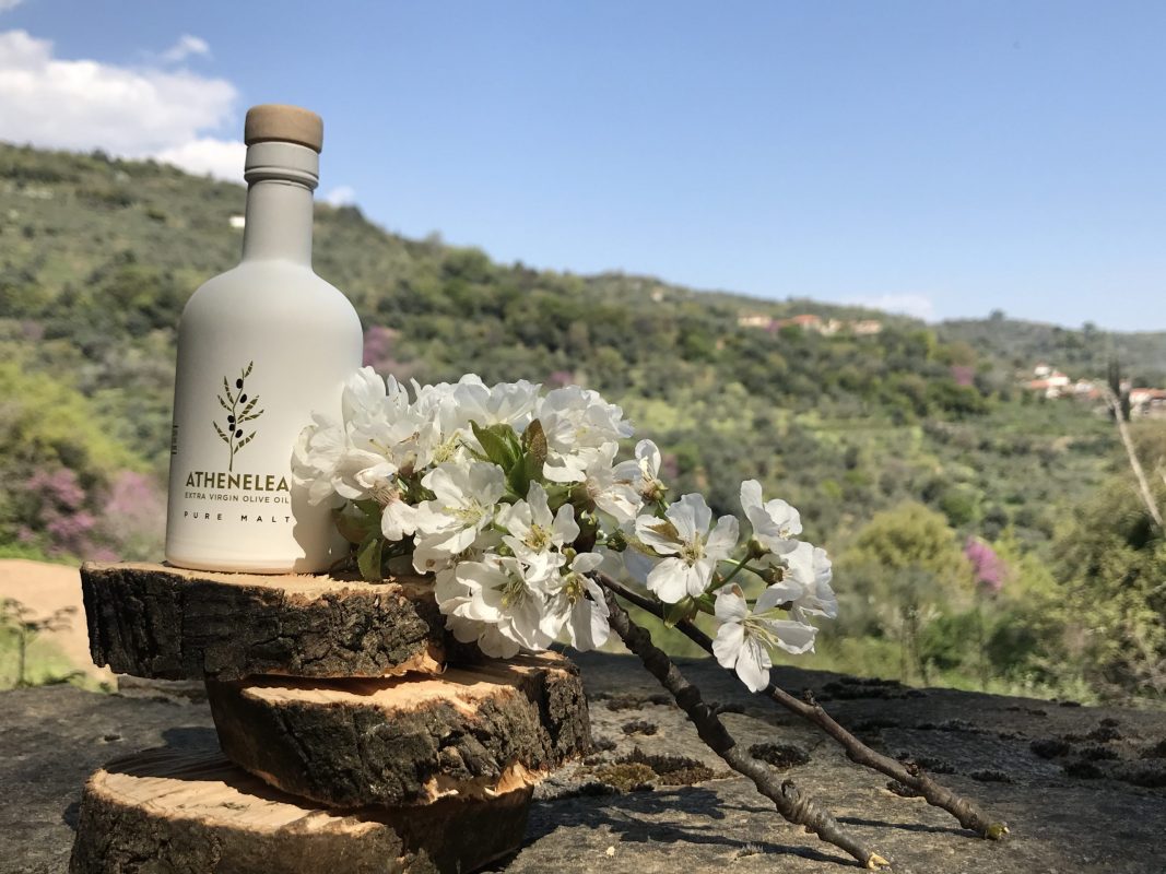 Olive Lab & Shop – Παγκόσμιο Κέντρο Ελιάς για την Υγεία