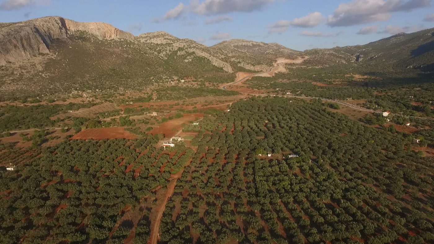 Olive Lab & Shop – Παγκόσμιο Κέντρο Ελιάς για την Υγεία