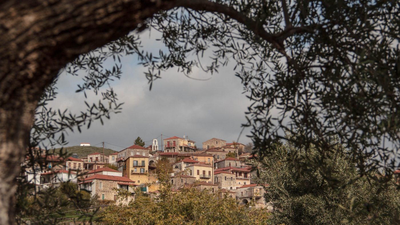 Olive Lab & Shop – Παγκόσμιο Κέντρο Ελιάς για την Υγεία