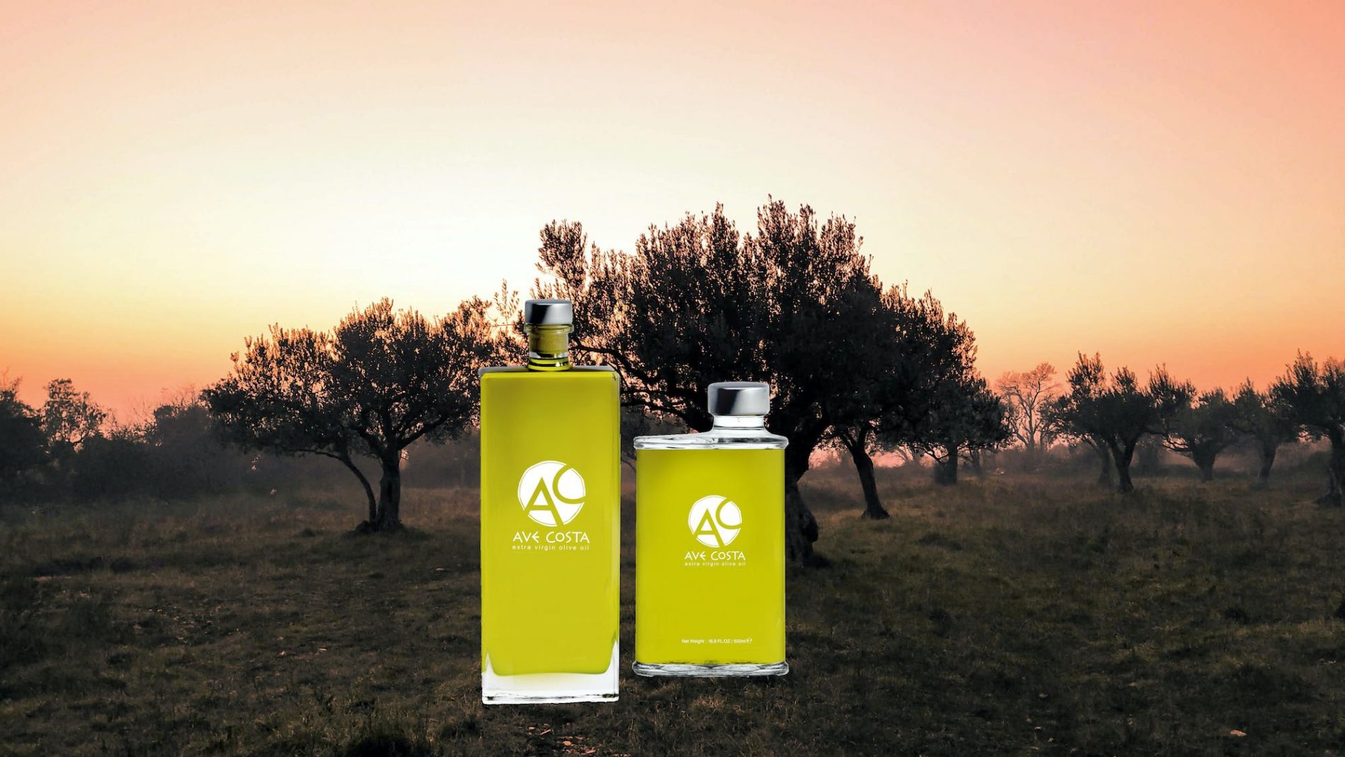 Olive Lab & Shop – Παγκόσμιο Κέντρο Ελιάς για την Υγεία