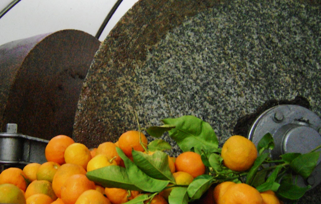 Olive Lab & Shop – Παγκόσμιο Κέντρο Ελιάς για την Υγεία