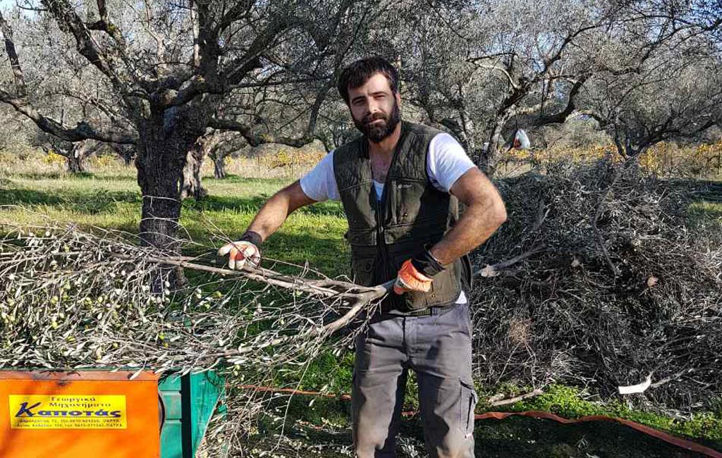 Olive Lab & Shop – Παγκόσμιο Κέντρο Ελιάς για την Υγεία