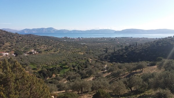 Olive Lab & Shop – Παγκόσμιο Κέντρο Ελιάς για την Υγεία