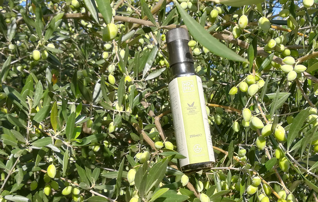 Olive Lab & Shop – Παγκόσμιο Κέντρο Ελιάς για την Υγεία