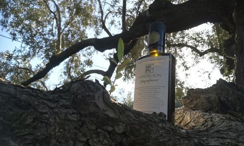Olive Lab & Shop – Παγκόσμιο Κέντρο Ελιάς για την Υγεία