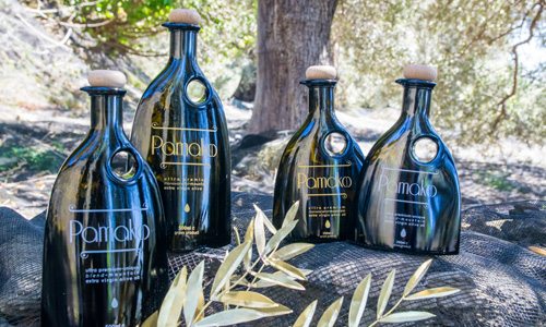 Olive Lab & Shop – Παγκόσμιο Κέντρο Ελιάς για την Υγεία
