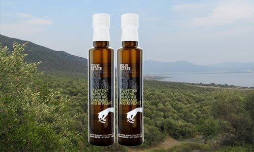Olive Lab & Shop – Παγκόσμιο Κέντρο Ελιάς για την Υγεία