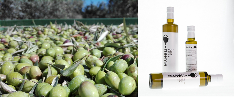 Olive Lab & Shop – Παγκόσμιο Κέντρο Ελιάς για την Υγεία