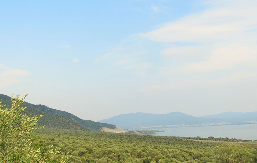 Olive Lab & Shop – Παγκόσμιο Κέντρο Ελιάς για την Υγεία