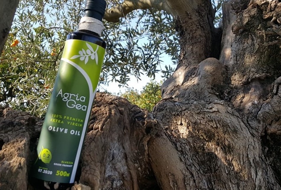 Olive Lab & Shop – Παγκόσμιο Κέντρο Ελιάς για την Υγεία