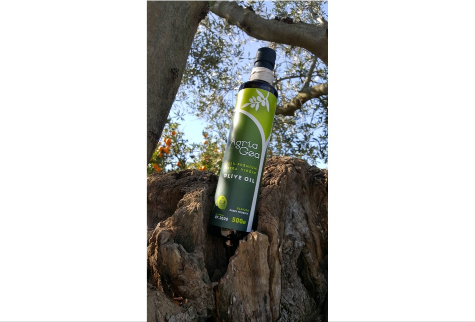 Olive Lab & Shop – Παγκόσμιο Κέντρο Ελιάς για την Υγεία